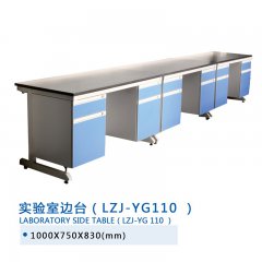 實(shí)驗(yàn)室邊臺(tái)(LZJ-YG110 )